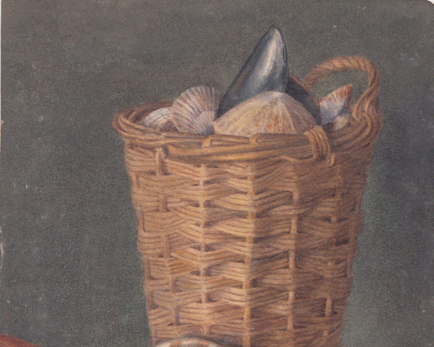 Basket of Shells Watercolour Painting