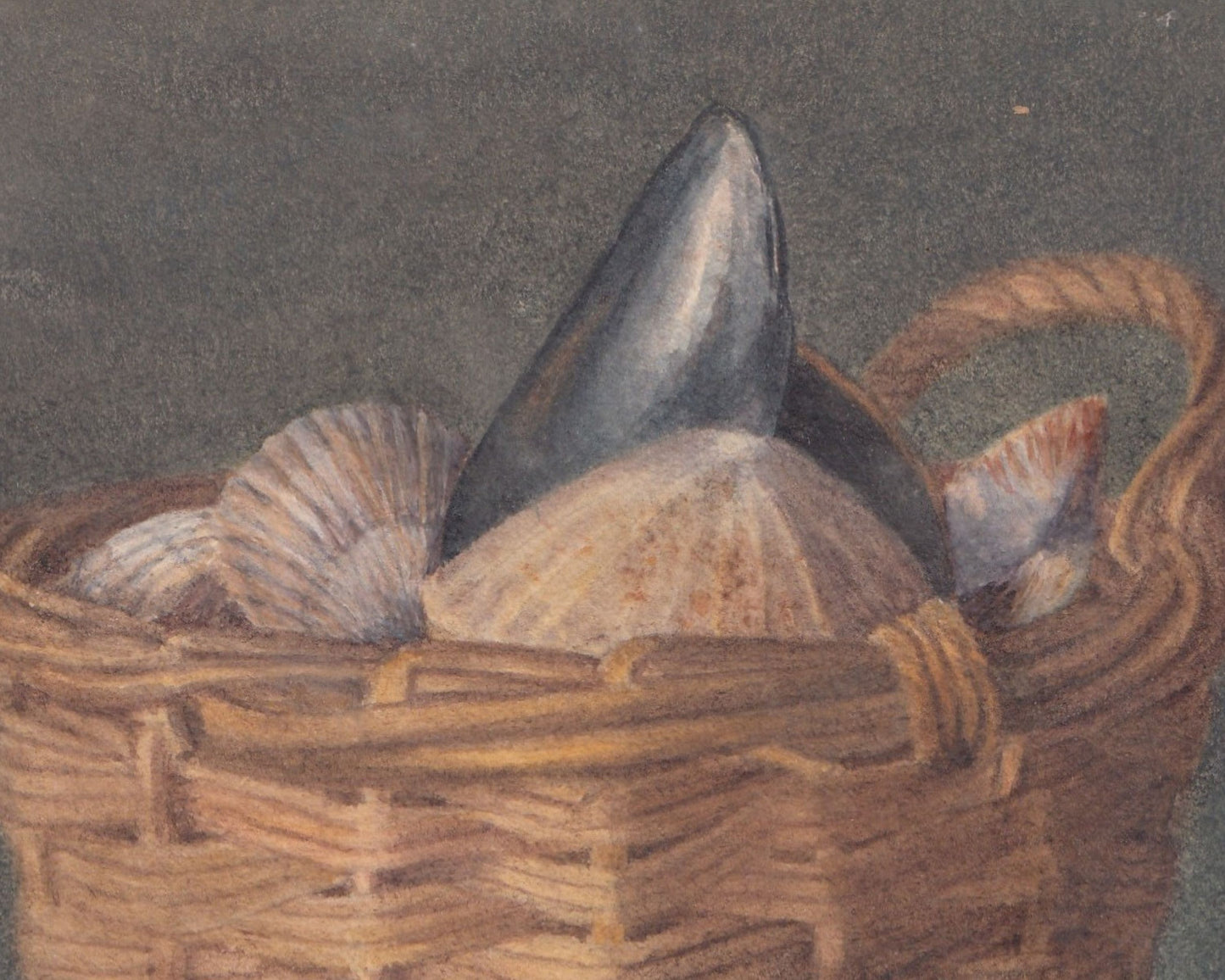 Basket of Shells Watercolour Painting